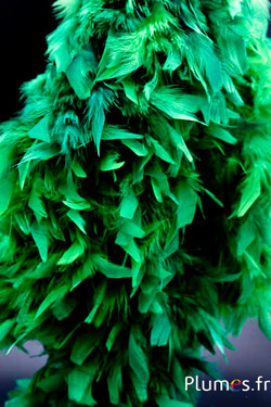 Hahnenboa chandelle - 4-fach, 2 m - grün